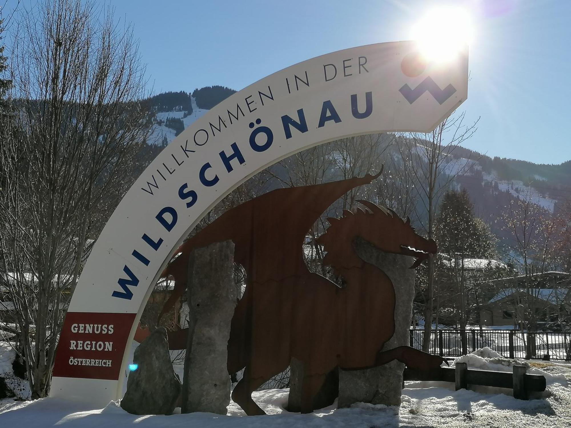 Wimmers Hundsegghof Wild001 Niederau Bagian luar foto